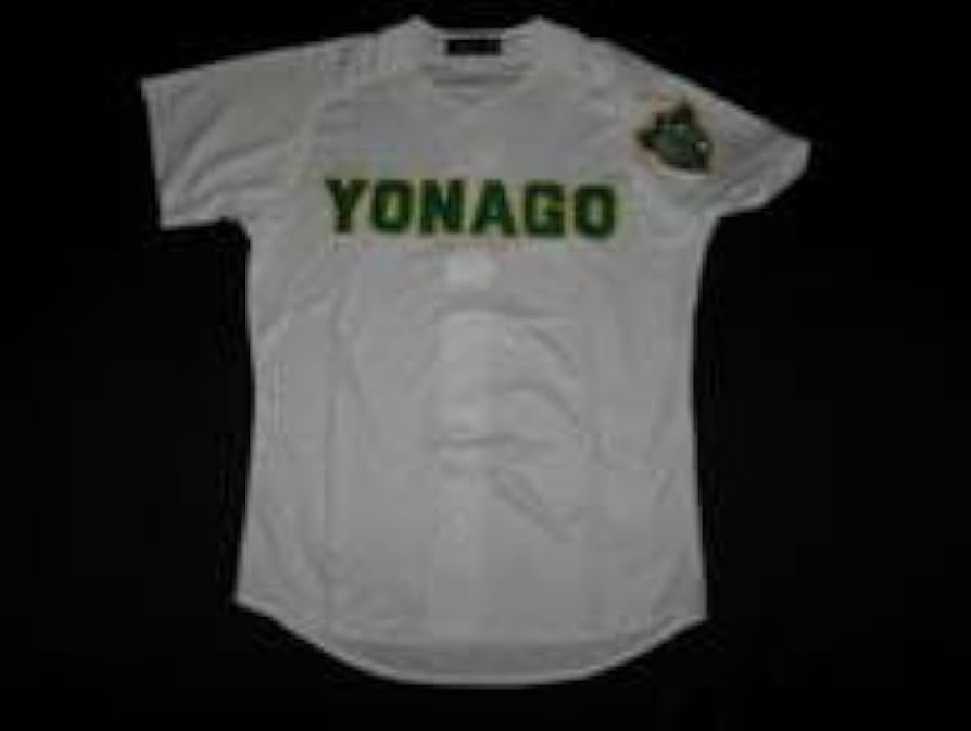 安孫子東高校公式戦ユニフォーム 安孫子東高校公式戦ユニフォーム （高校野球ユニフォーム 千葉県